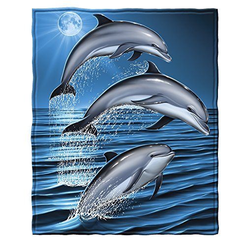 Dolphin Blanket: Gifts for dolphin lovers