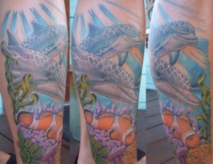 Dolphin Underwater Scene