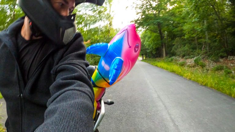 Give Our Adventure Dolphin Mascot a Name!