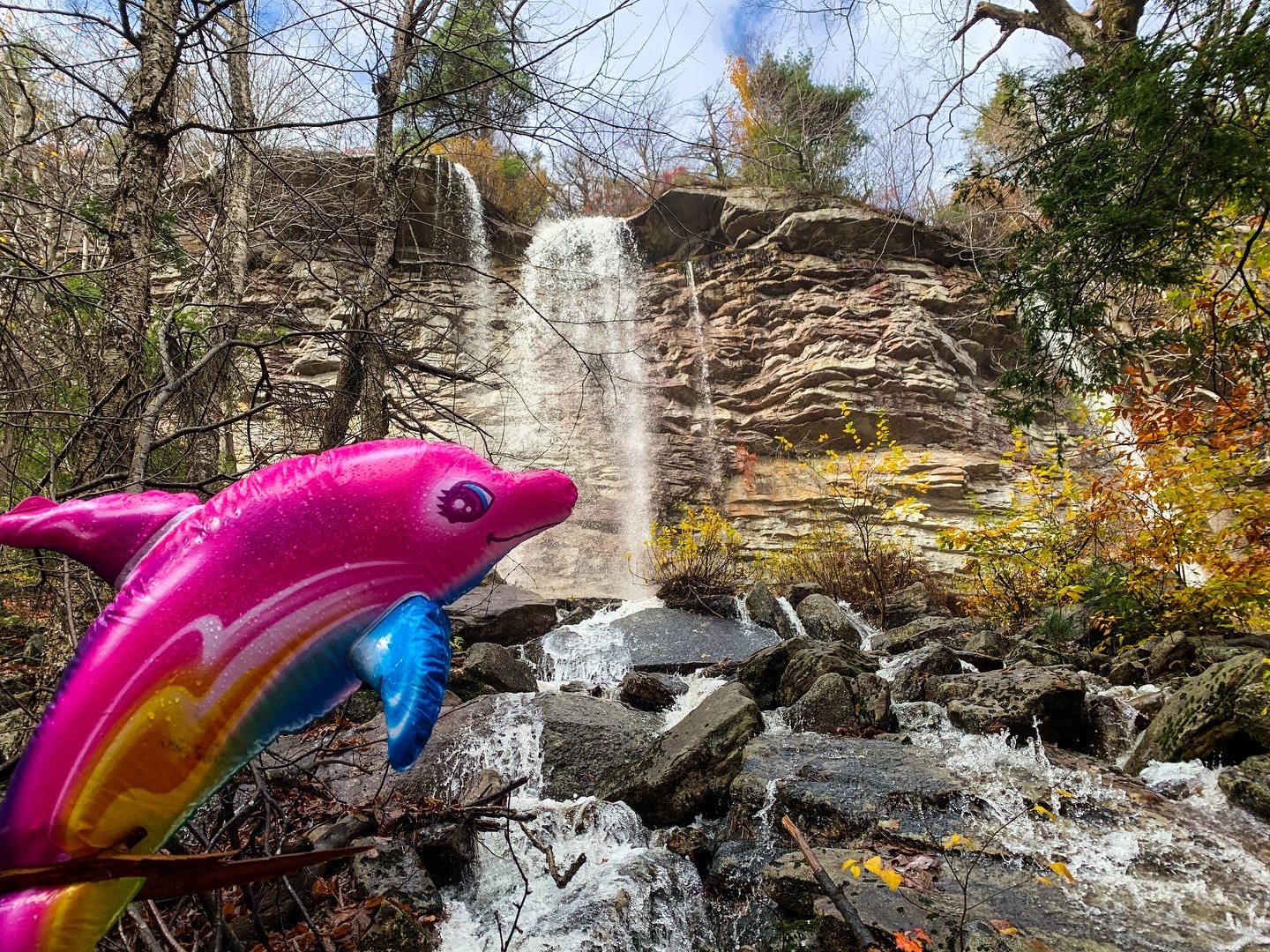 luna at rainbow falls