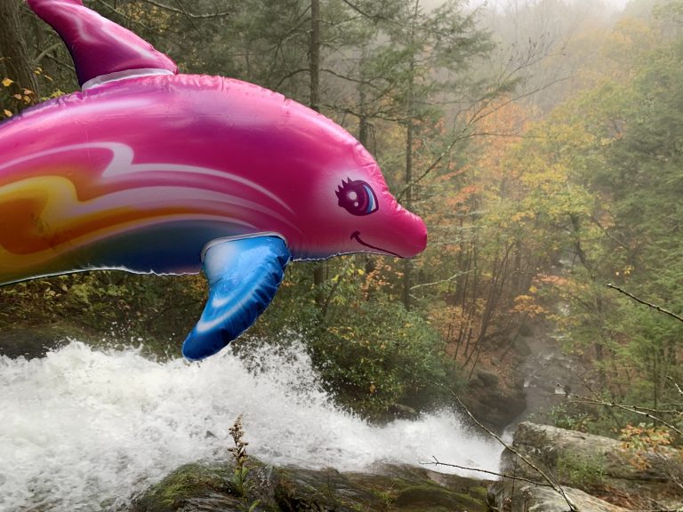 Luna Visits Buttermilk Falls