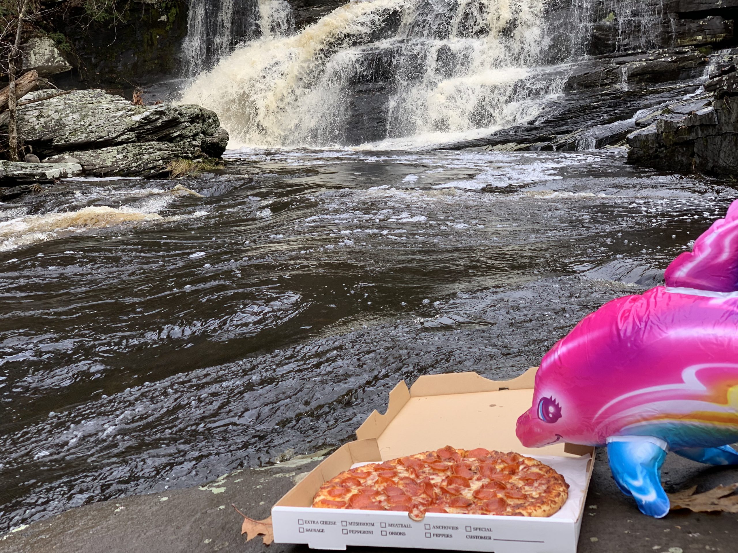 luna cleans hanging rock falls