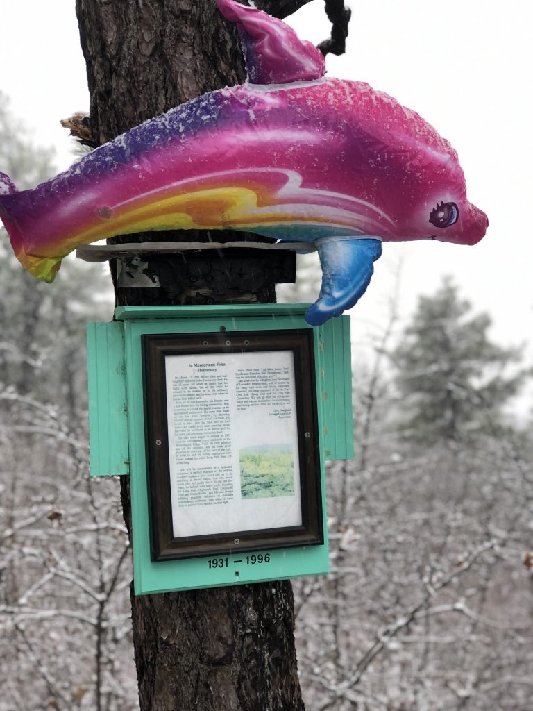 Luna the Dolphin Hikes Shawangunk