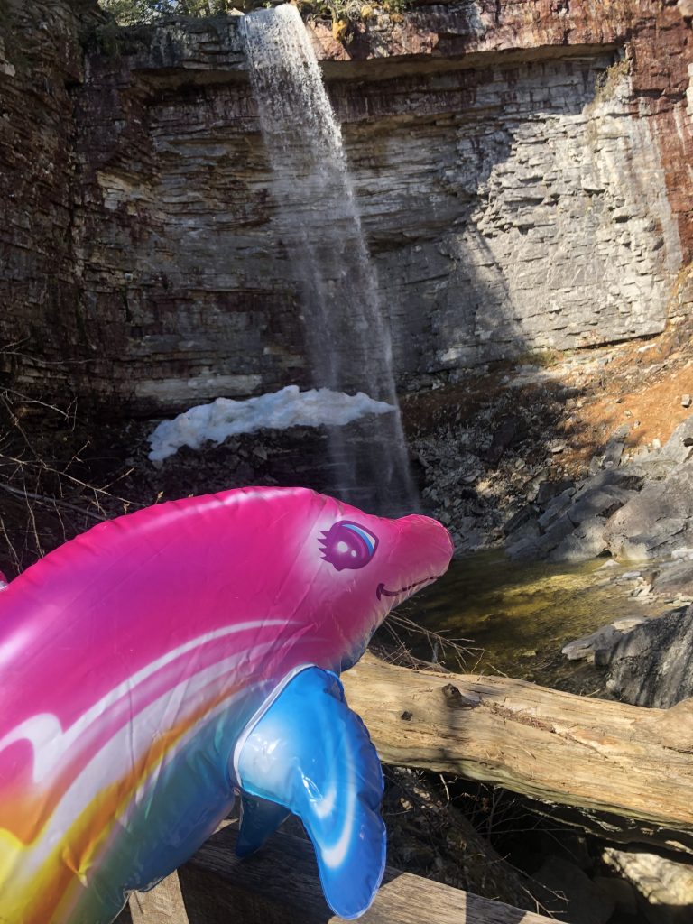 Luna Visits Stony Kill Falls in Minnewaska Park