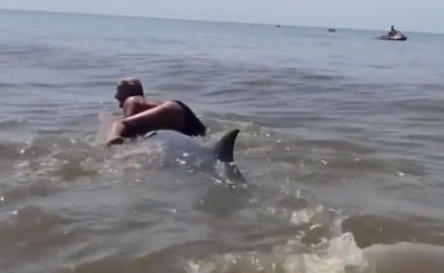 Topless Woman Tries to Ride a Dolphin